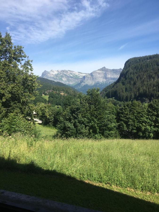 Vallee De Chamonix Au Pied Des Pistes Лез-Уш Экстерьер фото
