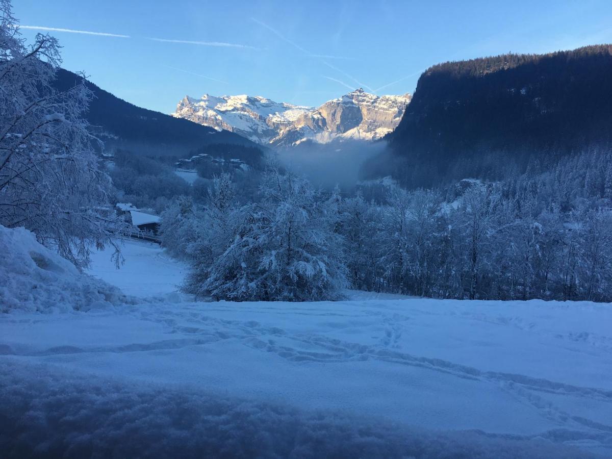 Vallee De Chamonix Au Pied Des Pistes Лез-Уш Экстерьер фото